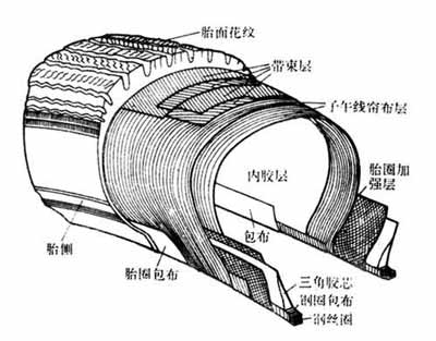 典型的轮胎外胎结构。（图片来源：百度图片）