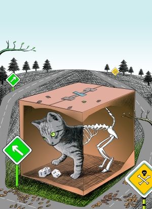 既生又死的薛定谔猫。 插图作者：赵斌