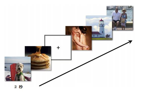 图1. 研究中使用的图片类型（未显示饮酒照片）。每类图片有80张，每张显示2秒，出现顺序为伪随机。每两张之间有0.5秒的间隔，其间显示图中所示的十字基准线（左起第三张） [1]。