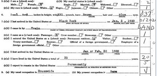 美国移民局印制的《外国人入境登记表》（图：Albionmich.com）