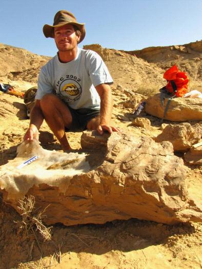 贝尔博士在挖掘鸭嘴龙。