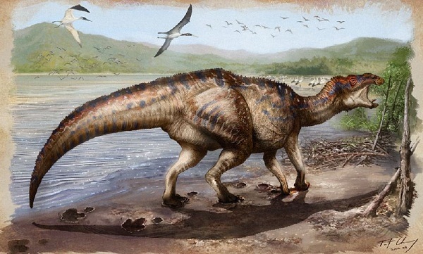 鸭嘴龙立体足迹复原图(绘图张宗达)。