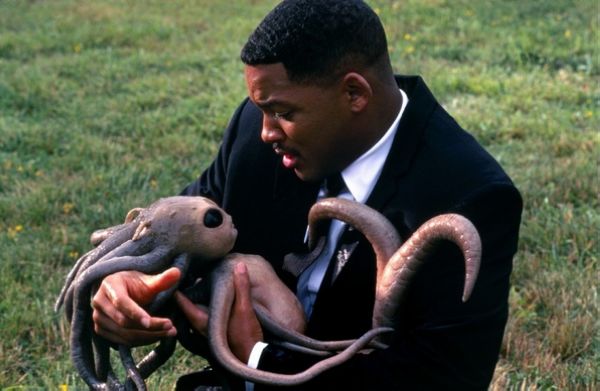 要成为一个“黑衣人”，你还得会为章鱼接生。