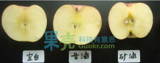 对半切开的苹果