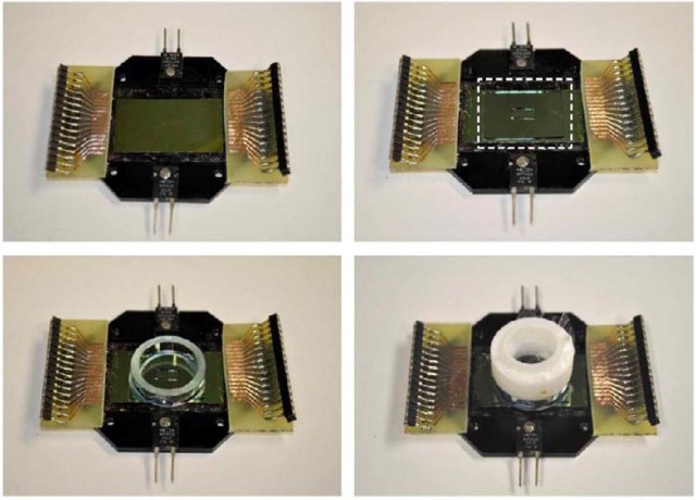 一块含有nanoES组织的计算机芯片