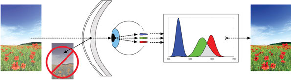 太阳镜增强色彩的原理示意图