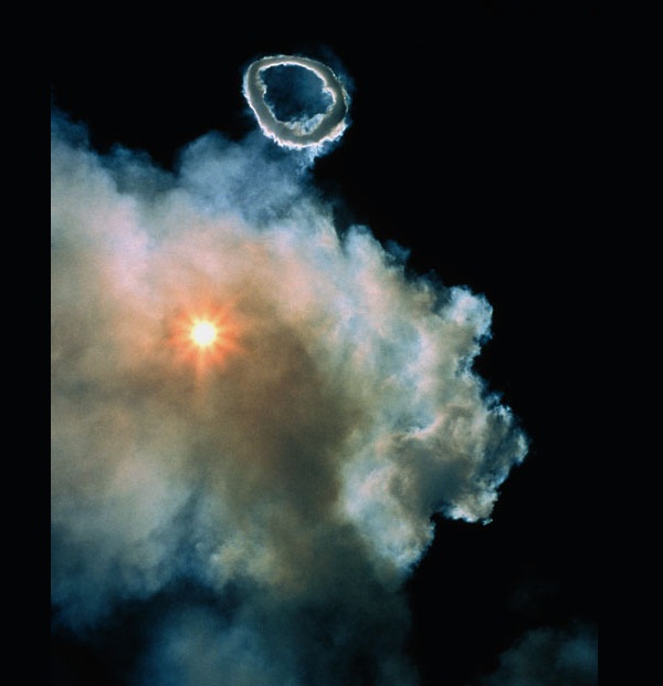 （图片：Science Photo Library / Rex Features）