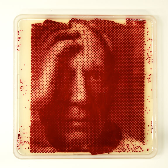 《我最喜爱的科学家》系列之毕加索。图片：Zachary Copfer