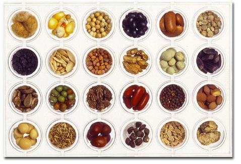 种植业生产中种子是非常重要的。