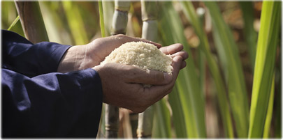 图片来自www.webmd.com