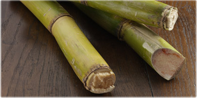 图片来自www.webmd.com