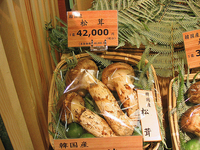 图片：flicker.com