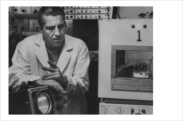 美国著名的睡眠研究学者、斯坦福大学的 William Dement 博士在记录处于睡眠剥夺状态的猫的脑波。可怜的猫咪……（图片：art.com）