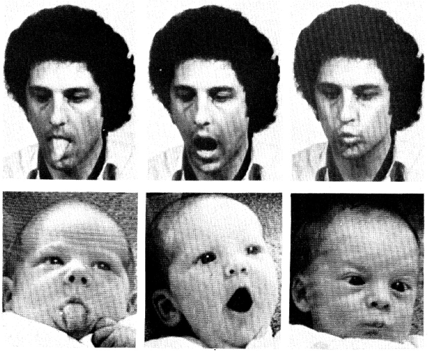 仅仅两三个星期大的婴儿就有能力模仿成人的表情[4]