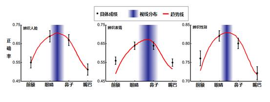 图2. 固定视线后不同组完成任务的成绩。