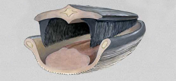 “大吃货”必备秘籍