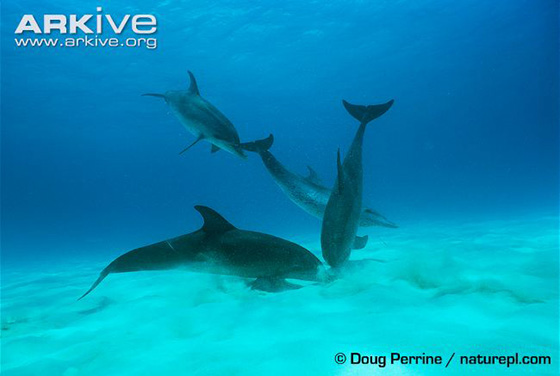 “大吃货”必备秘籍