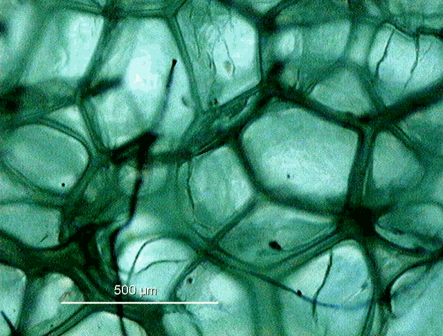 别让“舒适”的鞋子欺骗了你
