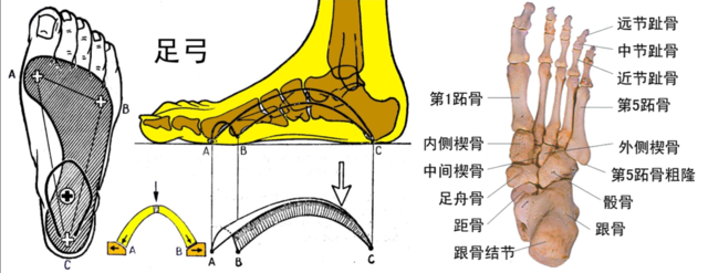 别让“舒适”的鞋子欺骗了你