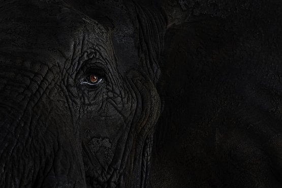 【SARS十年】下一场大瘟疫会来吗？