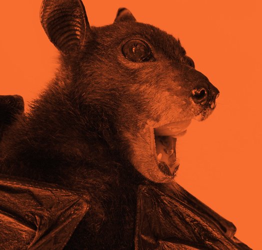 【SARS十年】下一场大瘟疫会来吗？