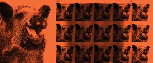 【SARS十年】下一场大瘟疫会来吗？