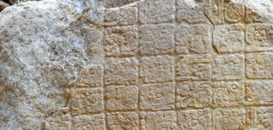 【愚人节特稿】岛国发现犰狳新种，外形奇特疑因人为