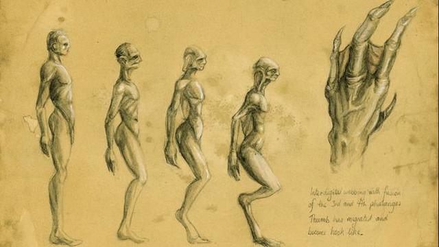 全新人种即将崛起?