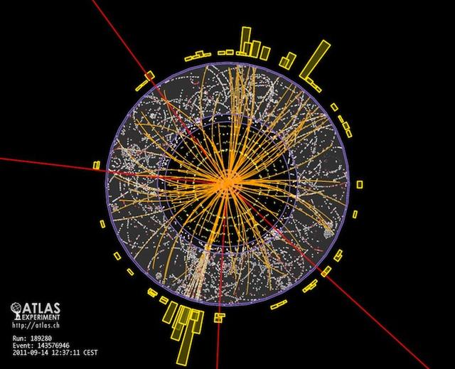 未来的计算机，用DNA、黏菌和其他奇怪玩意儿试一试