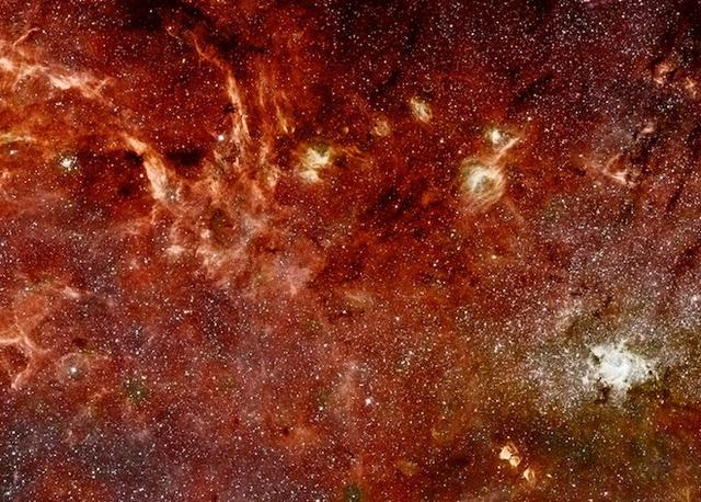 未来的计算机，用DNA、黏菌和其他奇怪玩意儿试一试