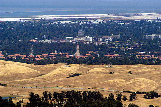 斯坦福大学哪儿去了？