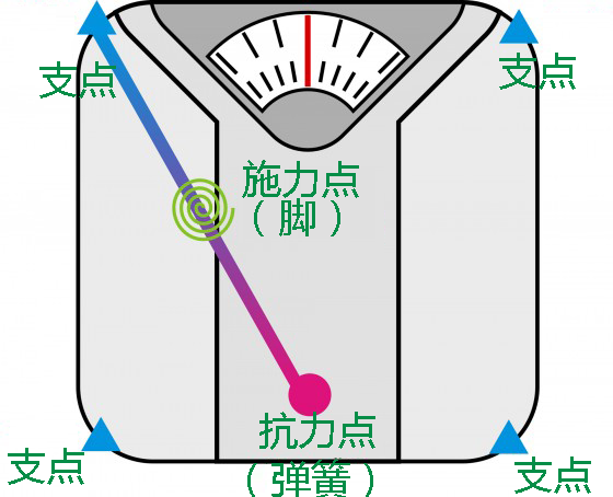 一夜爆肥？别紧张，体重秤放错位置啦！