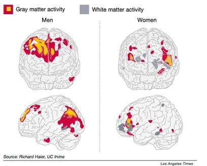 自闭症，大脑的极端男性化状态