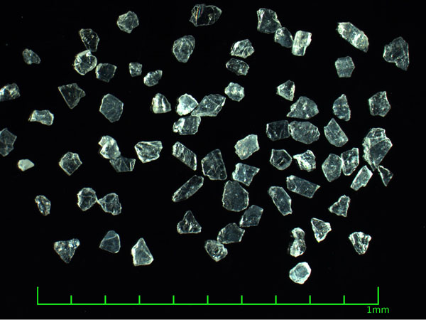 校准地质时钟 擒获屠龙真凶