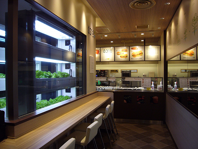 Leave a nest：给高学历人才开辟另一条康庄大道