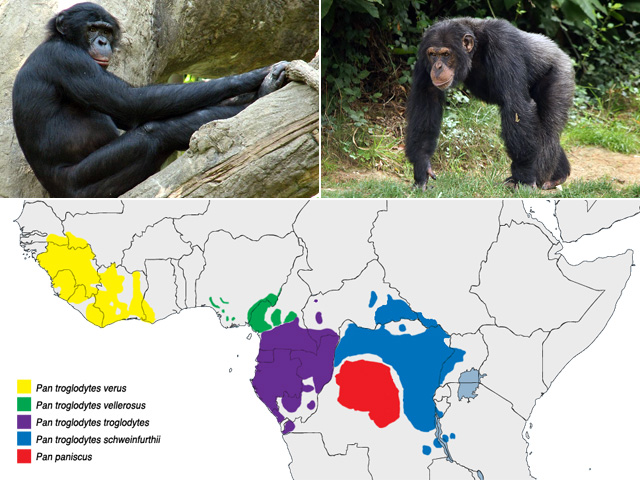 极限探索——雨林穿行