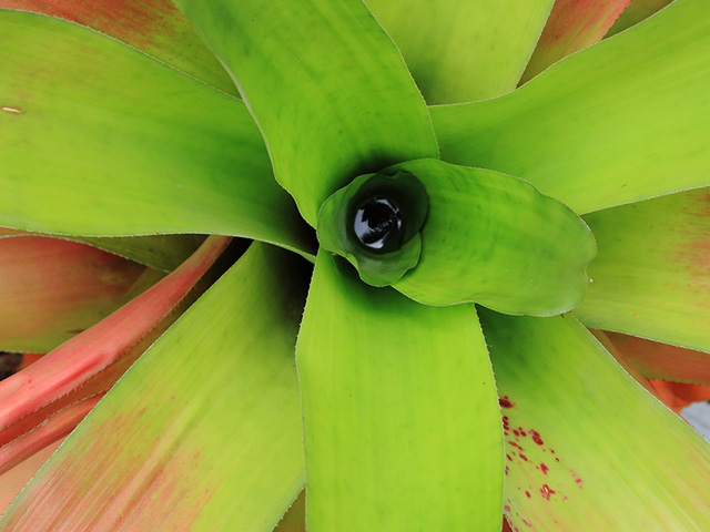 极限探索——雨林穿行