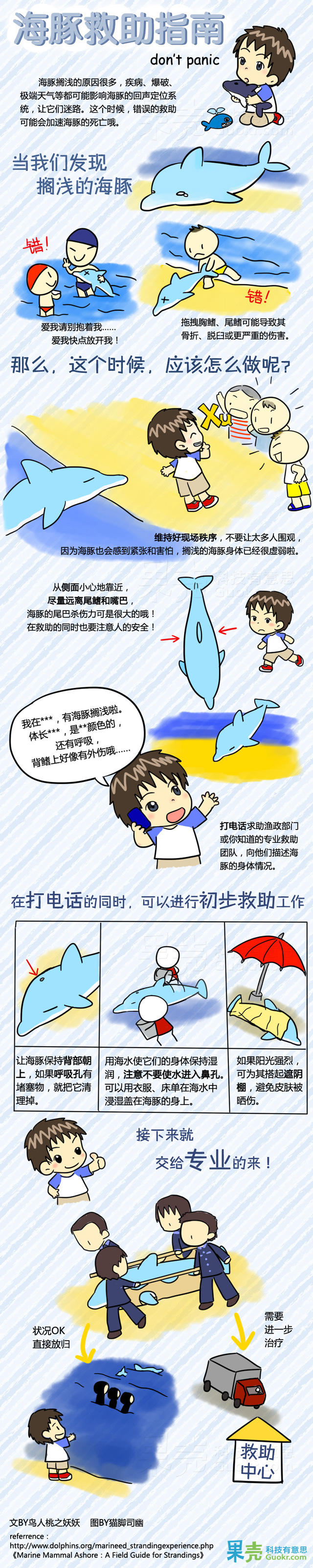 如何正确地救助搁浅的海豚？