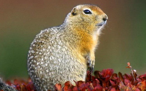 极限探索——严寒生存