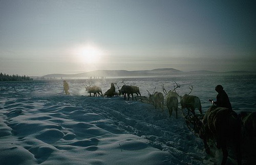 极限探索——严寒生存