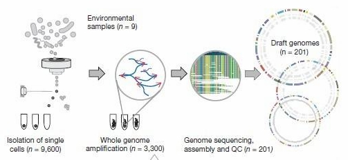 201种“微生物暗物质”探明，生命之树的分支脉络更加清晰