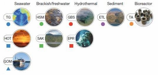 201种“微生物暗物质”探明，生命之树的分支脉络更加清晰