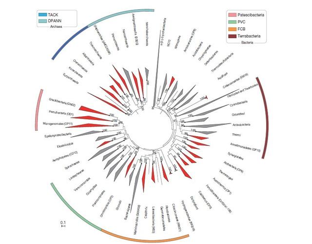 201种“微生物暗物质”探明，生命之树的分支脉络更加清晰