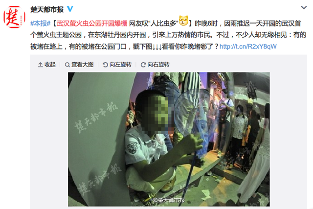 在围观中死去的萤火虫