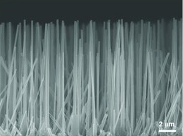 怪兽电力公司需要多少尖叫的小孩才能供应一座城市的用电？