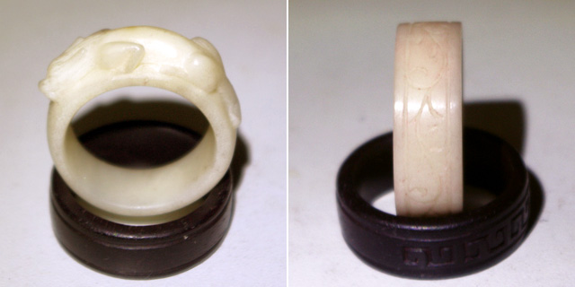 植物饰品：从果壳到种子的闪亮表演