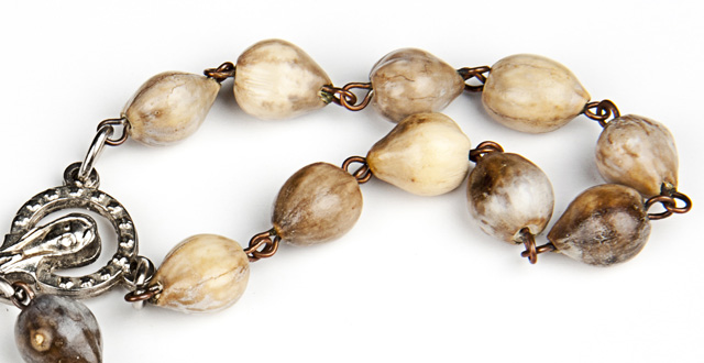 植物饰品：从果壳到种子的闪亮表演