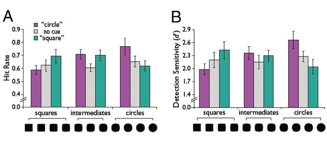 名字，是寻找丢失物品的神奇“咒语”