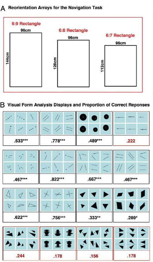 人类是怎么理解几何这样的抽象概念的？