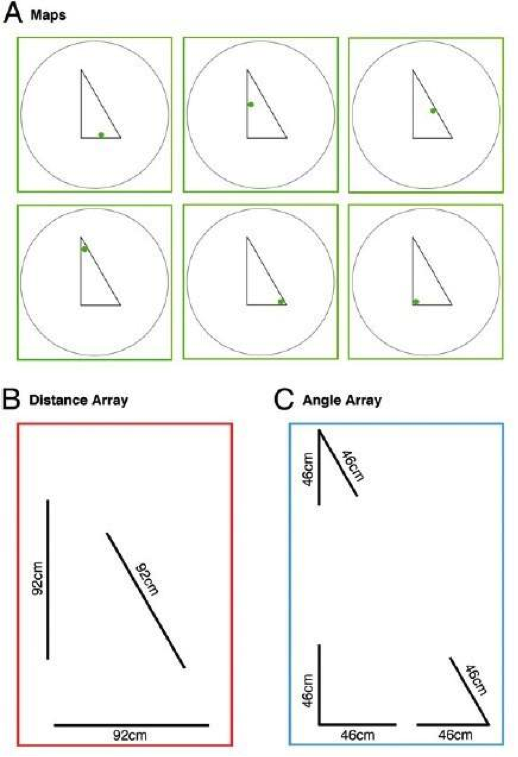 人类是怎么理解几何这样的抽象概念的？